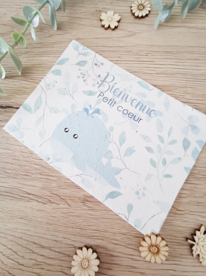 Carte à planter Baleine - Alonaly