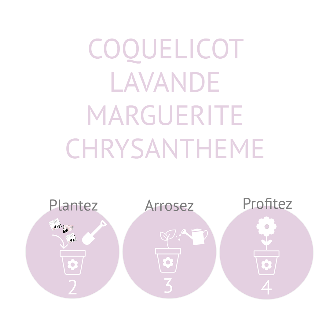 Carte à planter Renard - Alonaly