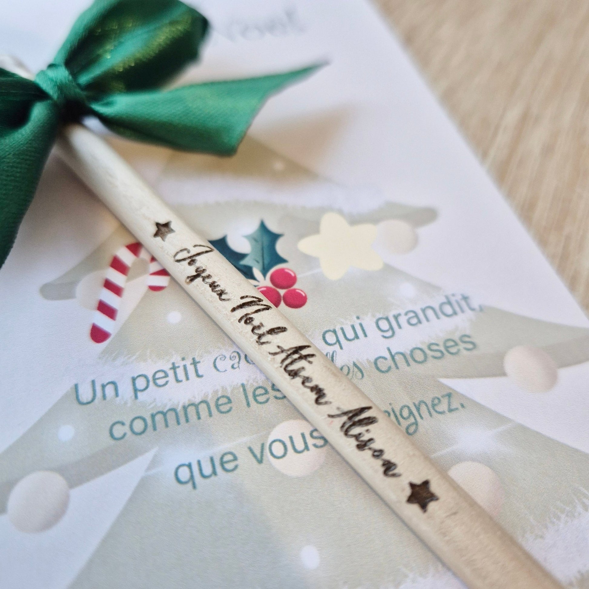 Crayon à planter Noël - Alonaly