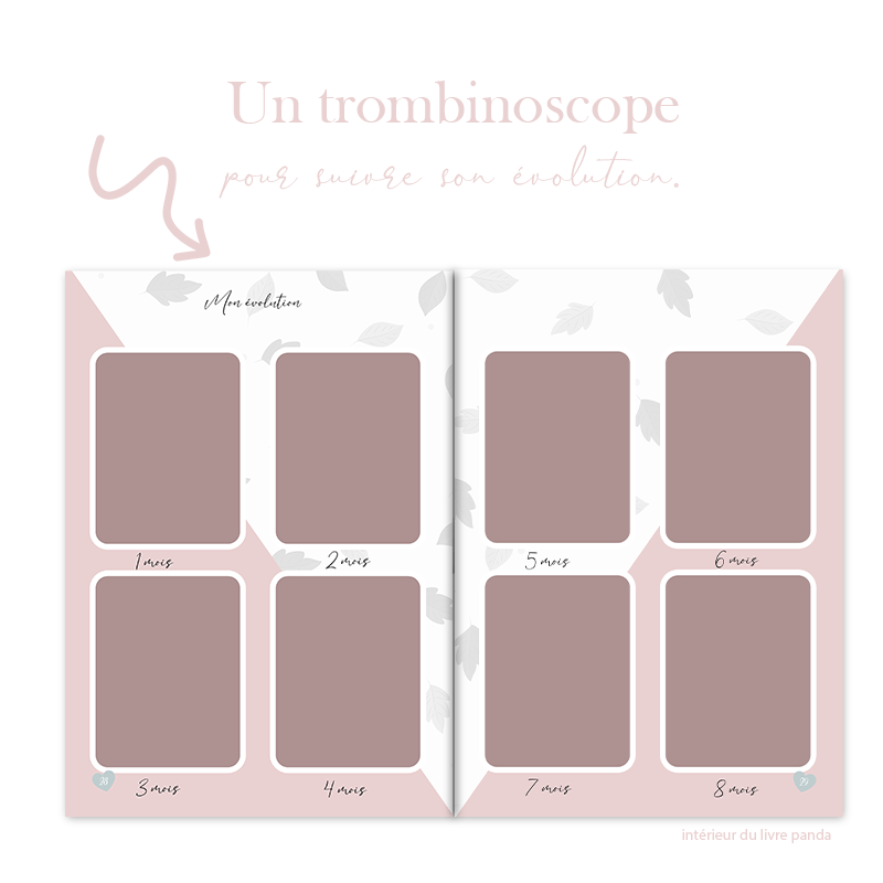 Livre de naissance [ LES MIMIS ] - Alonaly