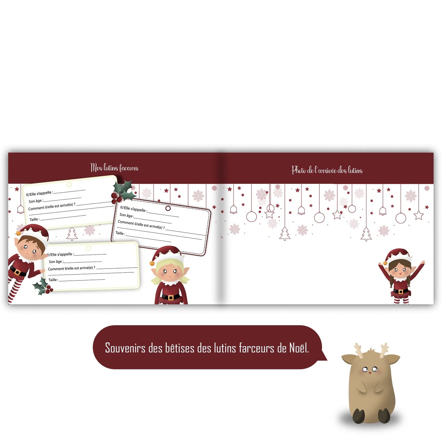 Un Noël enchanté livre souvenirs de Noël - Alonaly
