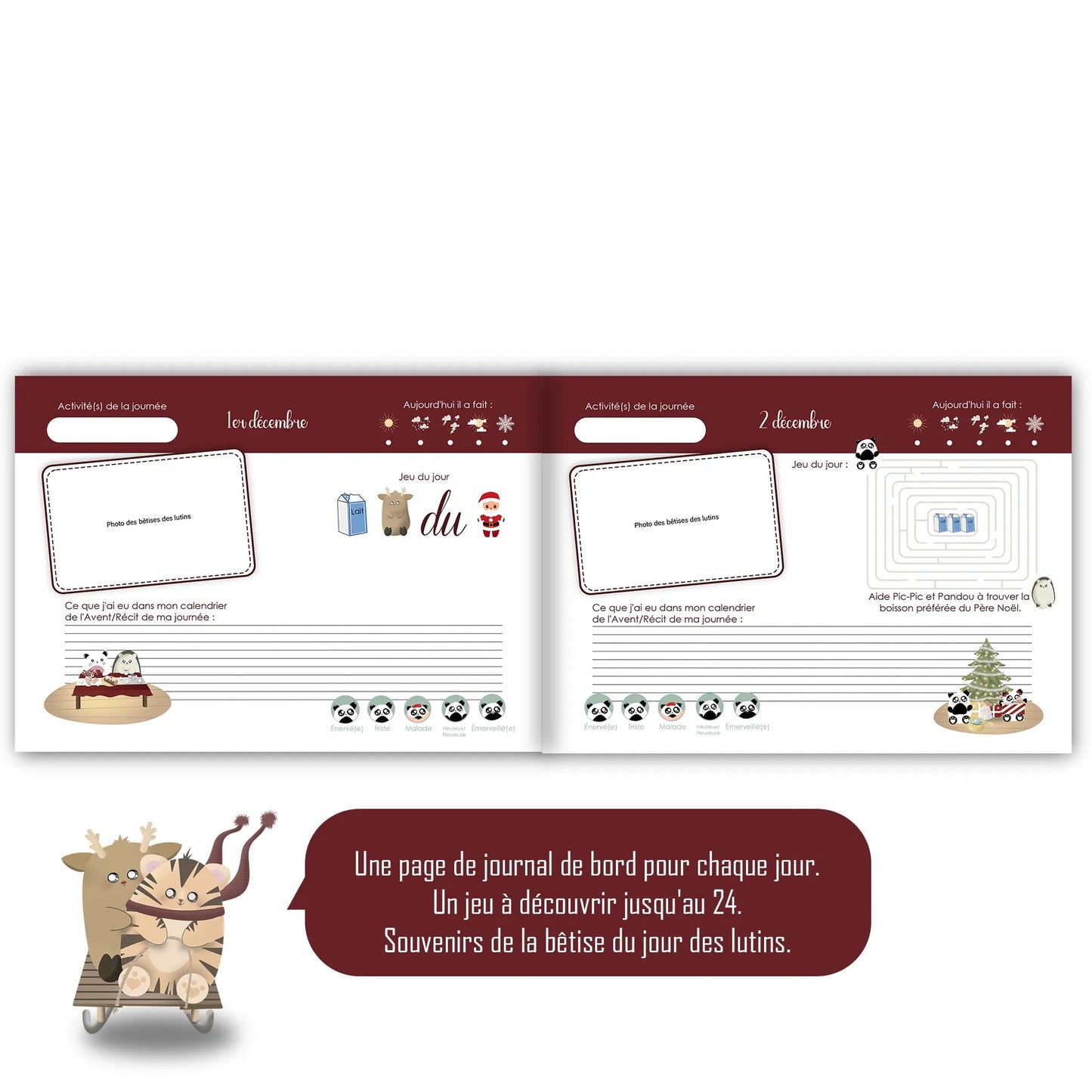 Un Noël enchanté livre souvenirs de Noël - Alonaly