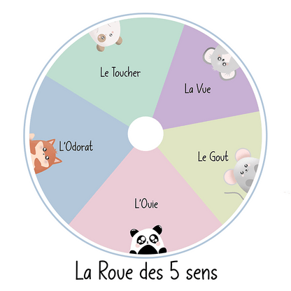Week - thème " LES 5 SENS " - Alonaly