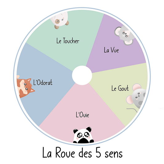 Week - thème " LES 5 SENS " - Alonaly