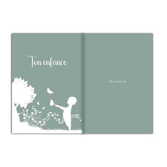 Il était une fois mamie - Alonaly